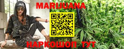 гашик Донской