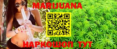 гашик Донской