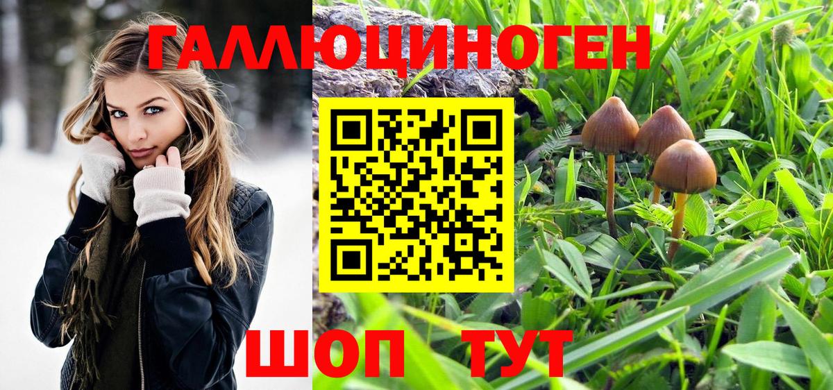 Псилоцибиновые грибы прущие грибы  Вход с VPN  Менделеевск  Галлюциногенные грибы MAGIC MUSHROOMS 